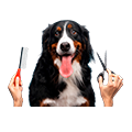 Servicios para mascotas